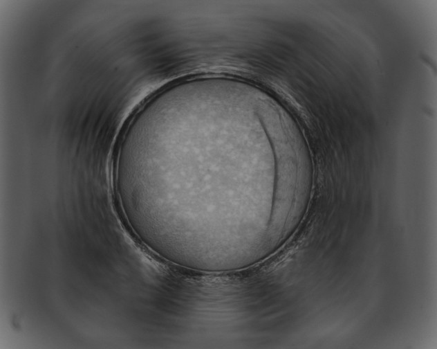 X0000093241032200710171436