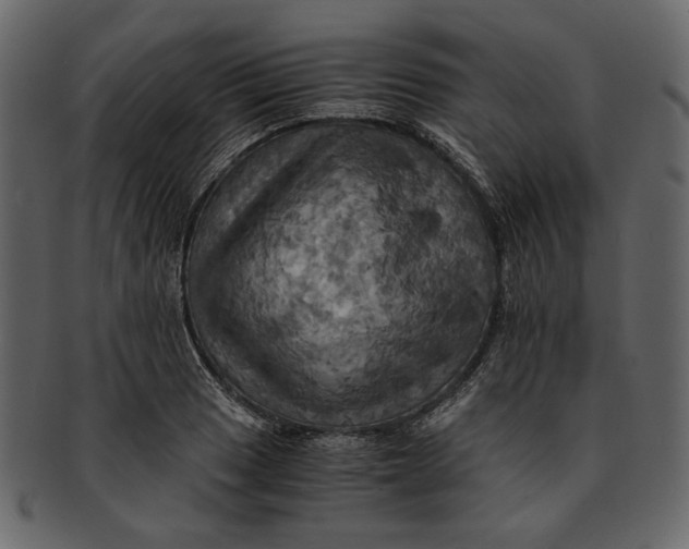 X0000093241033200710171436