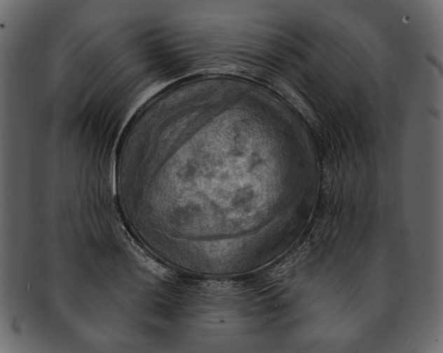 X0000093241036200710171436