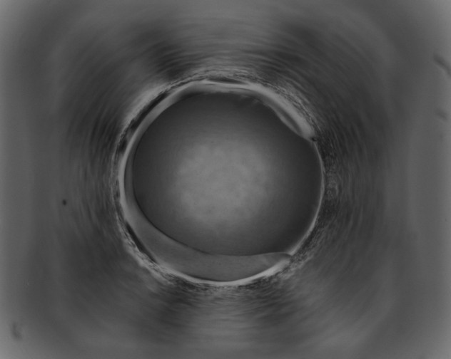 X0000093241038200710171436