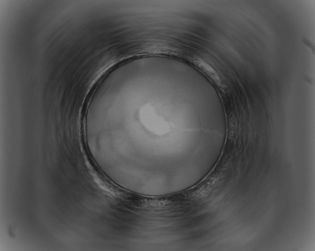 X0000093241039200710171436