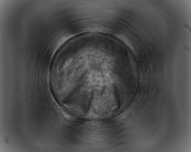 X0000093241040200710171436