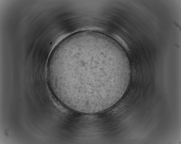 X0000093241044200710171436