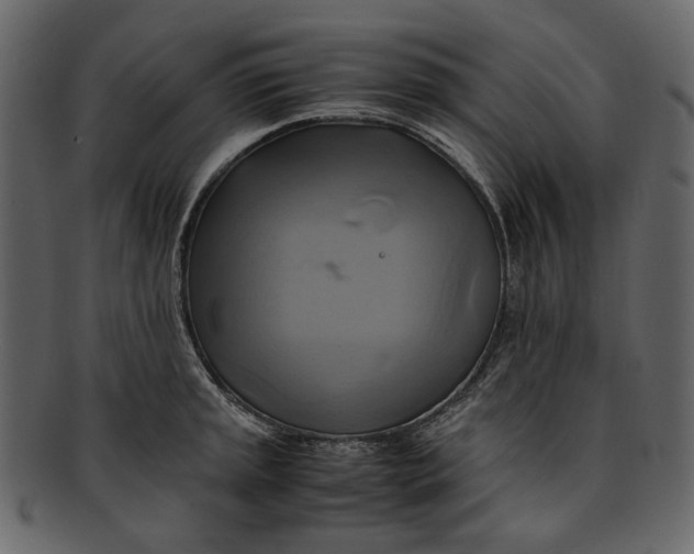 X0000093241045200710171436