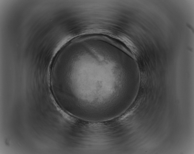 X0000093241046200710171436