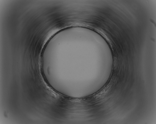 X0000093241048200710171436