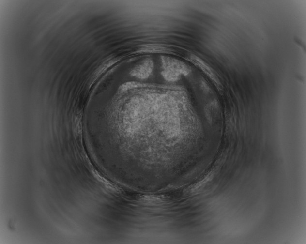 X0000093241049200710171436