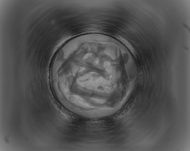 X0000093241051200710171436