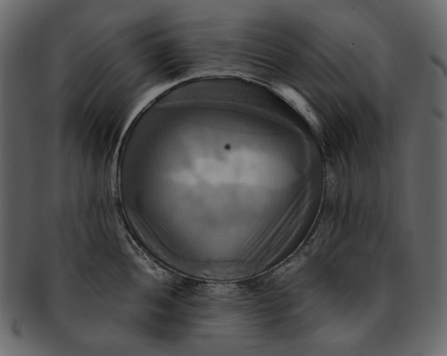 X0000093241052200710171436