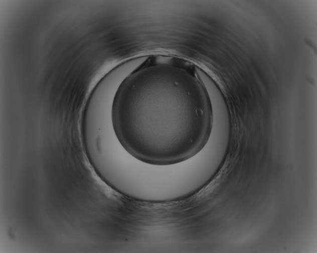X0000093241054200710171436