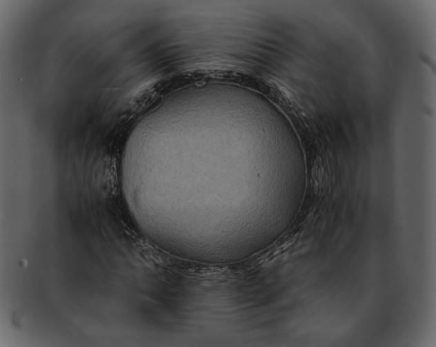 X0000093241062200710171436