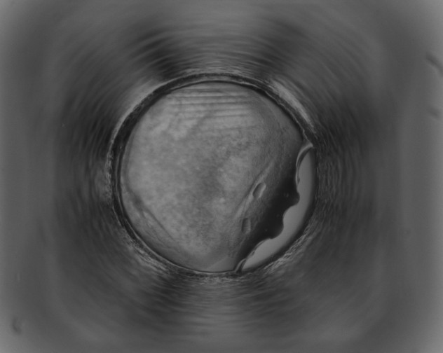 X0000093241068200710171435