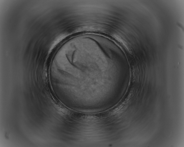 X0000093241070200710171435