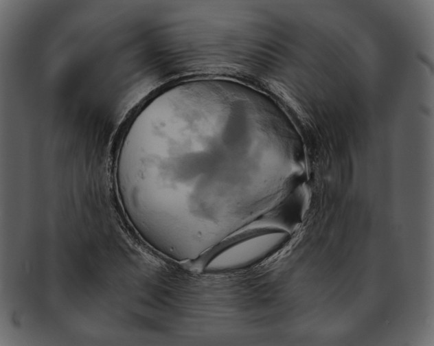 X0000093241071200710171435