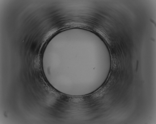 X0000093241074200710171435