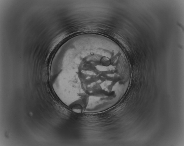 X0000093241075200710171435
