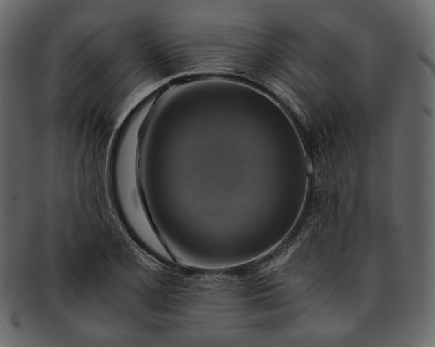 X0000093241077200710171435