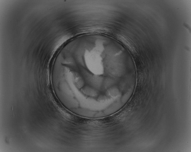 X0000093241079200710171435