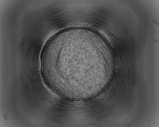 X0000093241080200710171435