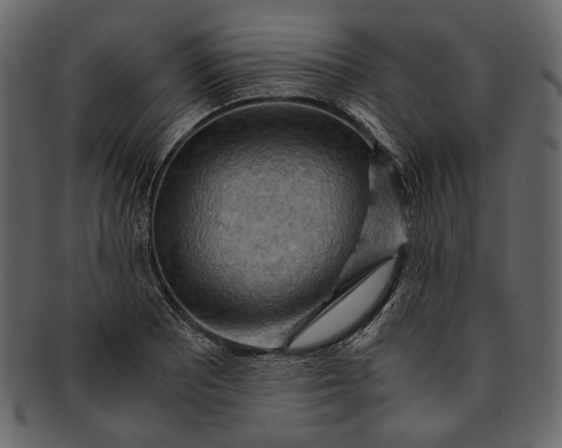 X0000093241081200710171435
