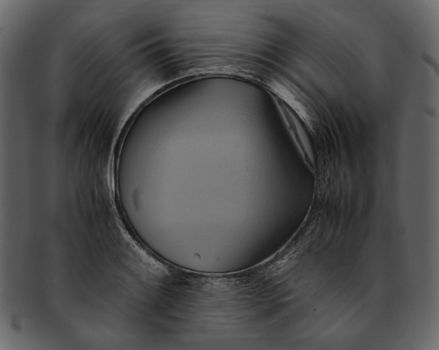 X0000093241084200710171435