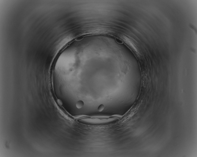 X0000093241087200710171435