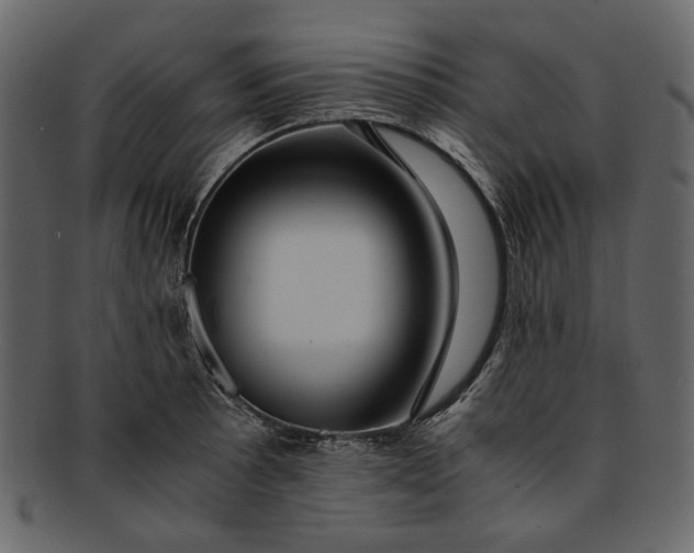 X0000093241089200710171435