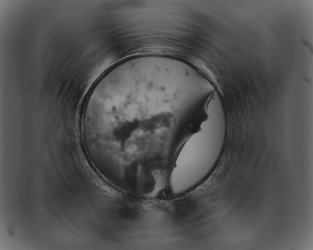 X0000093241091200710171435