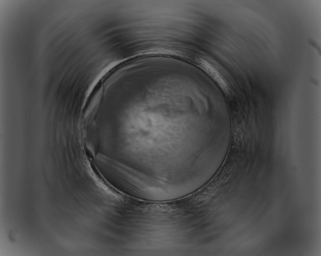 X0000093241092200710171435