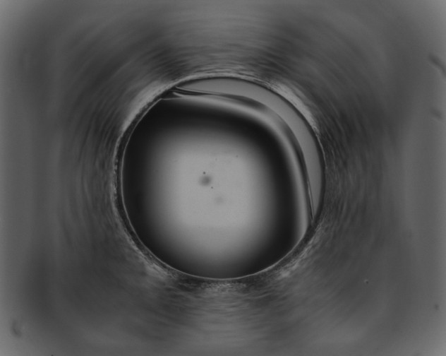X0000093241093200710171435