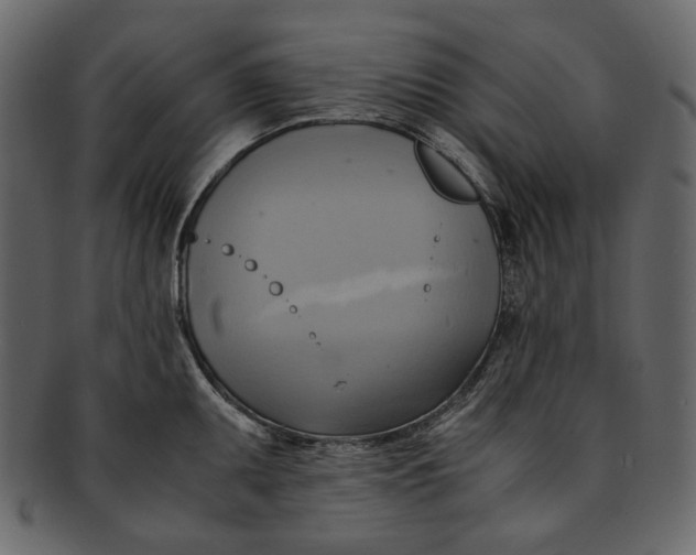 X0000093241095200710171435