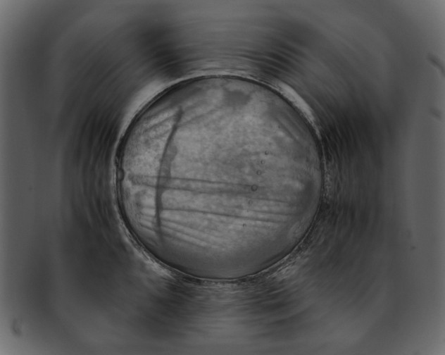 X0000093241096200710171435