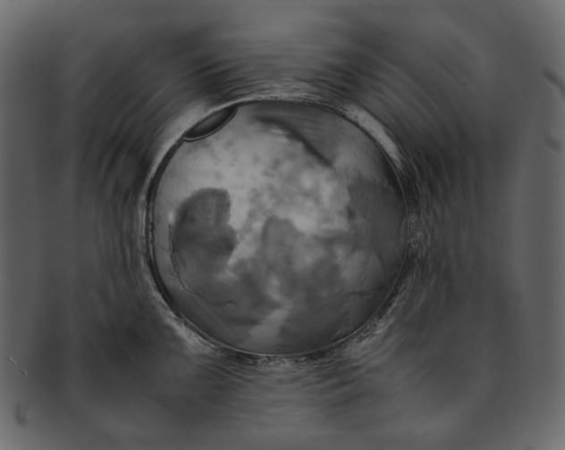 X0000093241099200710171435