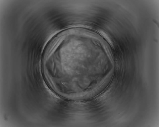 X0000093241100200710171435