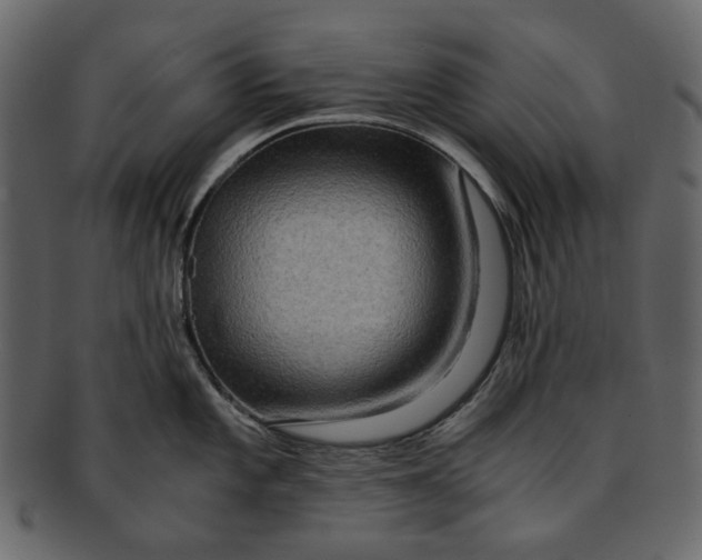 X0000093241101200710171435