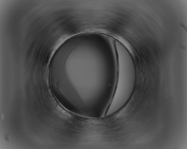 X0000093241102200710171435