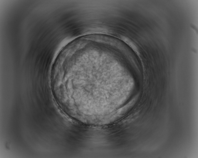 X0000093241104200710171435