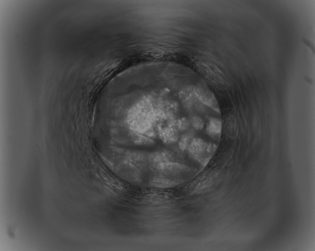 X0000093241105200710171434