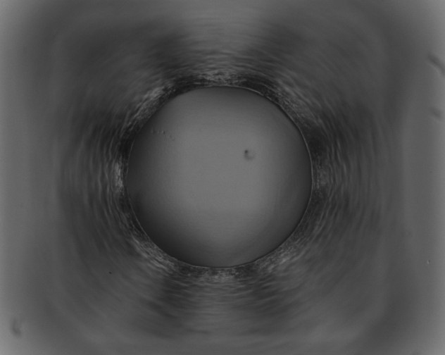 X0000093241106200710171434