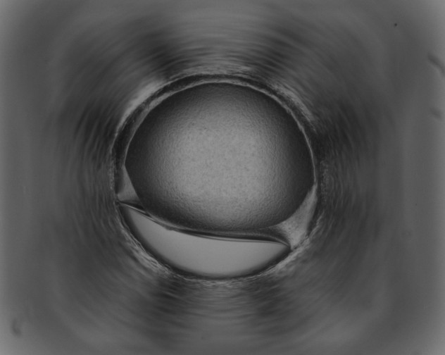X0000093241114200710171434