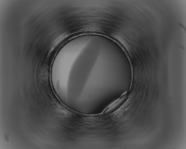 X0000093241115200710171434