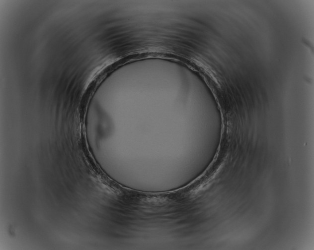 X0000093241117200710171435