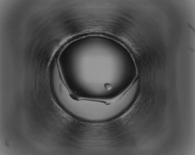 X0000093241118200710171435