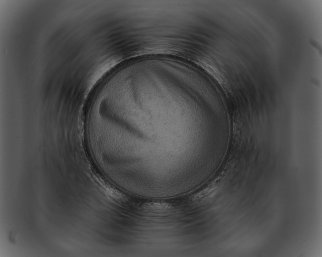 X0000093241119200710171435