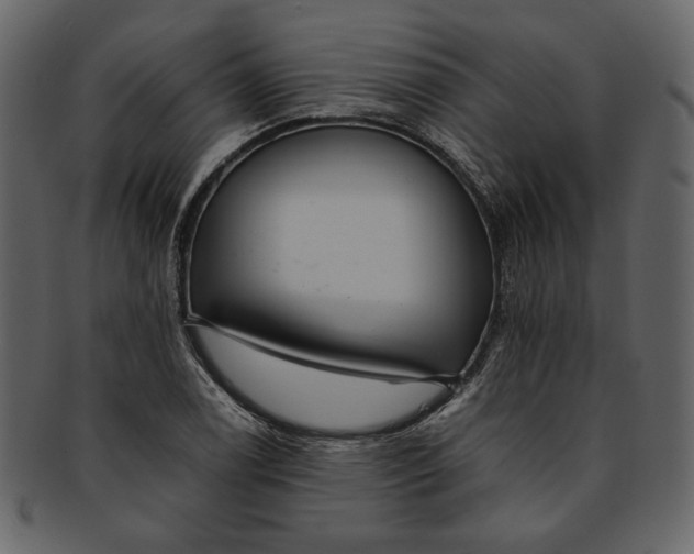 X0000093241122200710171435