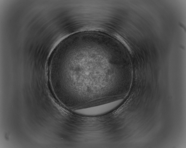 X0000093241124200710171435