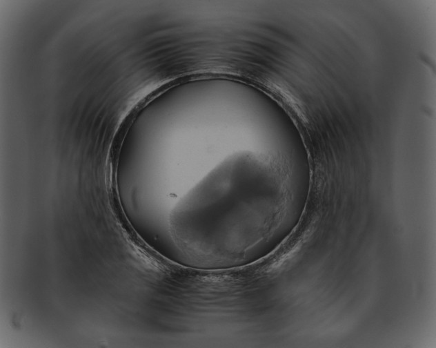 X0000093241125200710171435