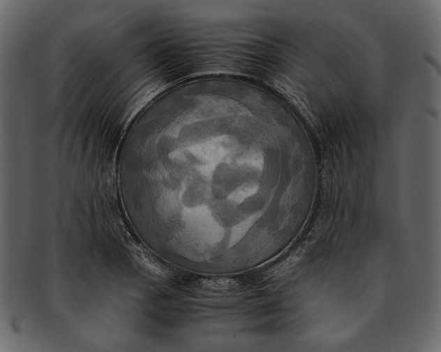X0000093241129200710171435