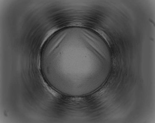 X0000093241131200710171435