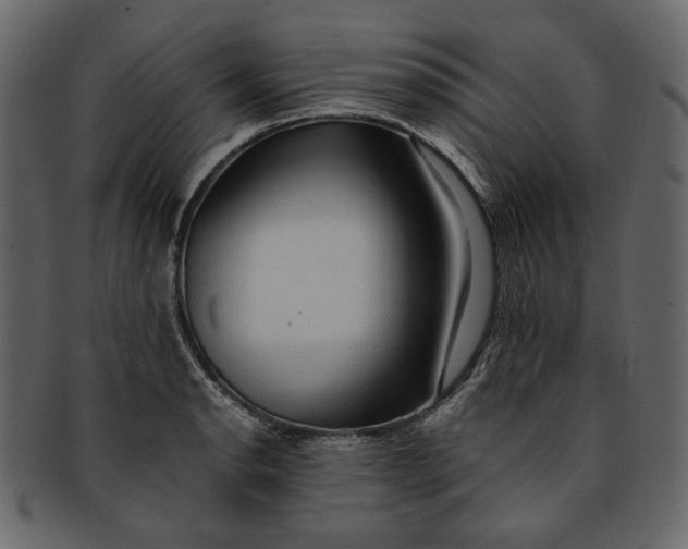 X0000093241134200710171435